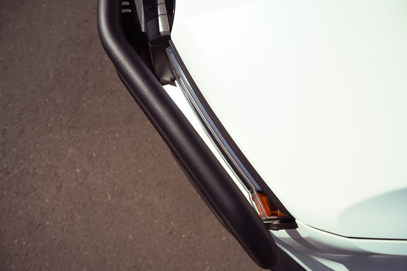 Rago Fabrication ラゴファブリケーション フロントバンパー用 ブラシガード (ランクル250)