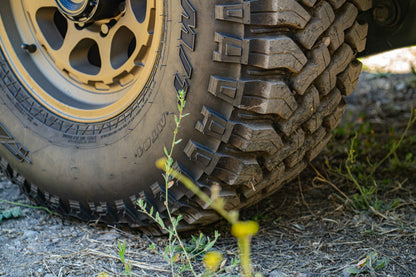 Fittipaldi Off Road FT103Z | SATIN BRONZE