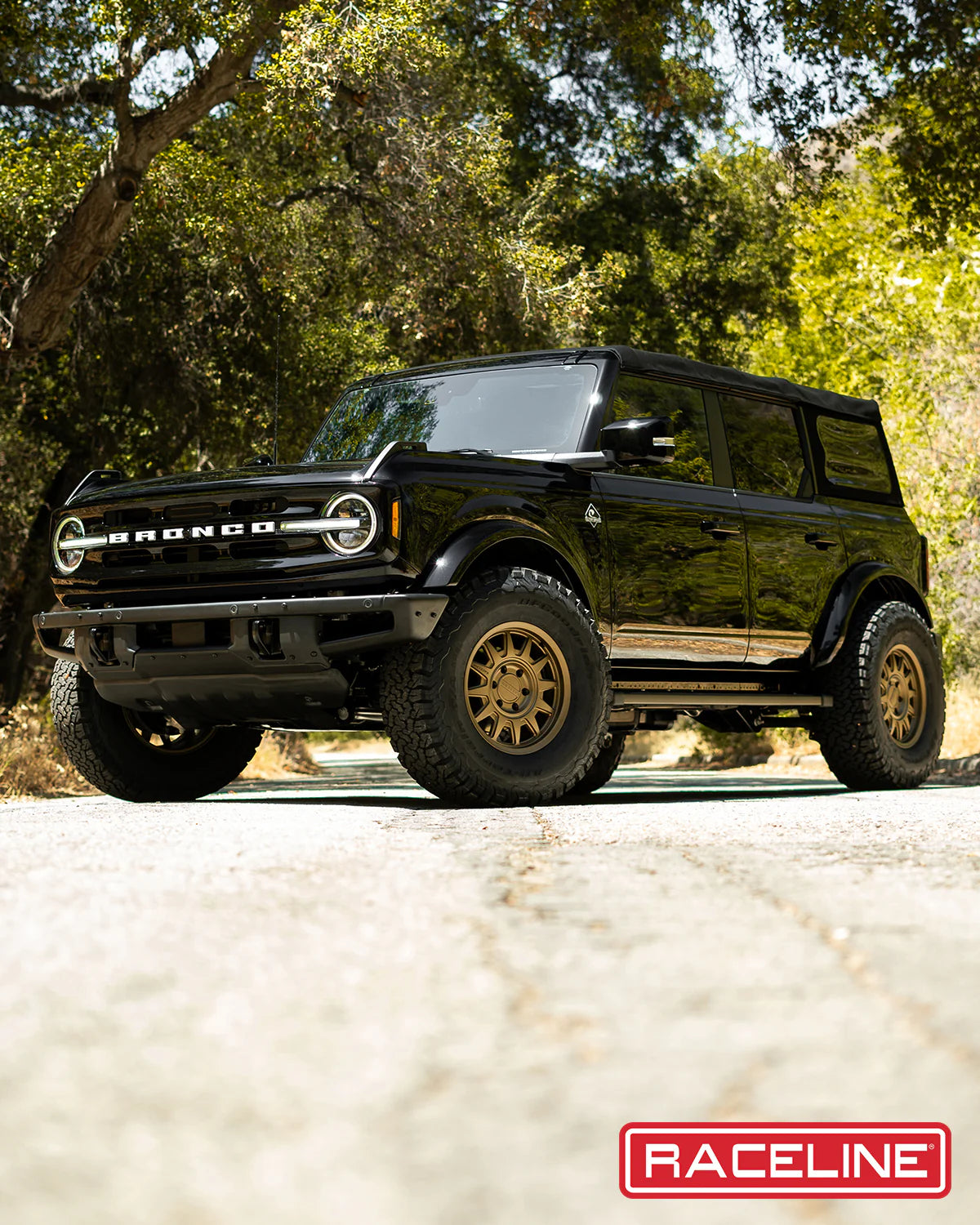 Raceline Wheels レースライン ホイール 952BZ AERO HD | BRONZE