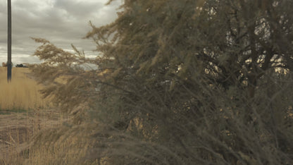 Fuel Off Road フューエルオフロード ホイール FC900 GRIP | GLOSS BLACK